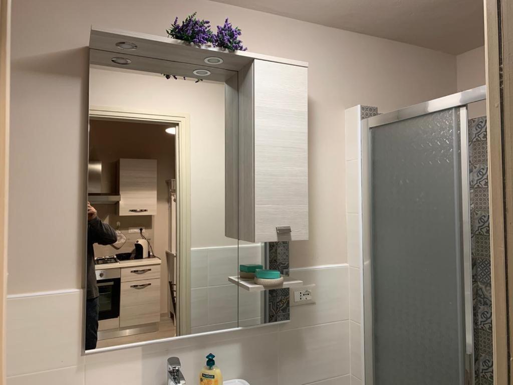 Al Gelsomino Apartment Pisa Ngoại thất bức ảnh